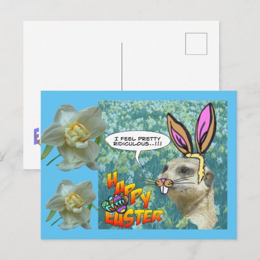 Happy Easter Meerkat Daffodils Briefkaart (Voorkant / Achterkant)
