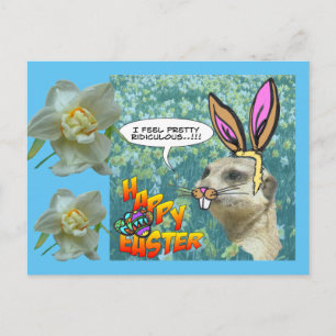 Happy Easter Meerkat Daffodils Briefkaart