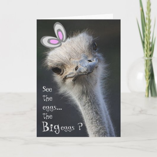 Happy Easter Ostrich Bunny Feestdagen Kaart (Voorkant)