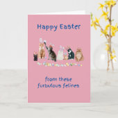 Happy Easter Pet Wenskaarten Kaart (Gele Bloem)