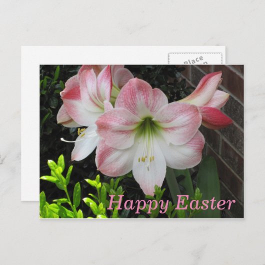 Happy Easter Pink Lily Briefkaart (Voorkant / Achterkant)