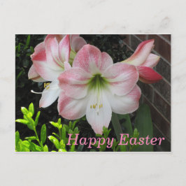 Happy Easter Pink Lily Briefkaart