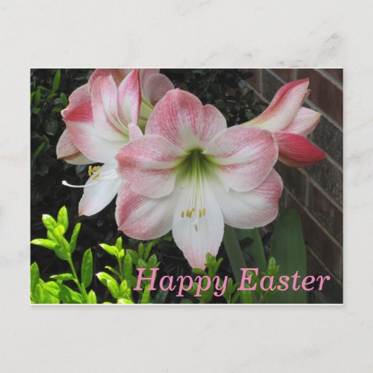 Happy Easter Pink Lily Briefkaart (Voorkant)