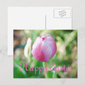 Happy Easter Pink Tulip Feestdagenkaart (Voorkant / Achterkant)