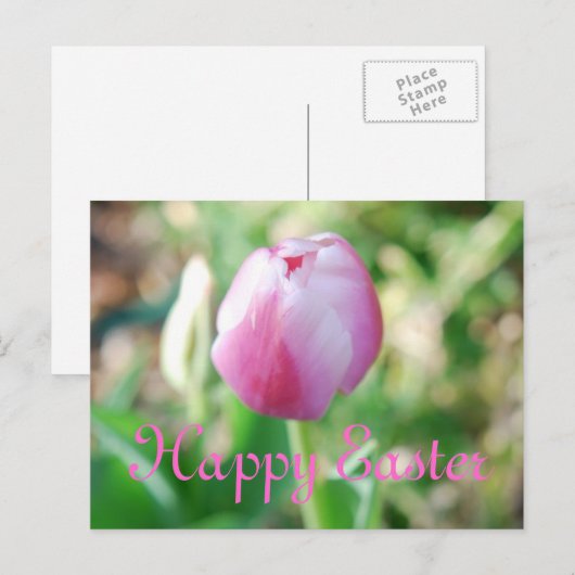 Happy Easter Pink Tulip Feestdagenkaart (Voorkant / Achterkant)