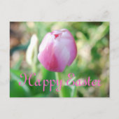 Happy Easter Pink Tulip Feestdagenkaart (Voorkant)