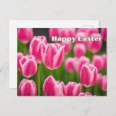 Happy Easter Pink Tulip Flowers Feestdagenkaart (Voorkant / Achterkant)