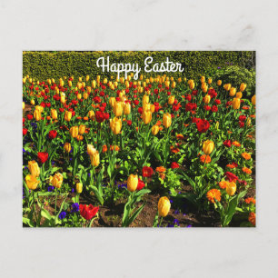 Happy Easter Red en Yellow Tulips #1 Briefkaart