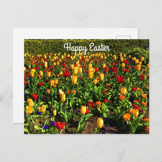 Happy Easter Red en Yellow Tulips #1 Briefkaart (Voorkant / Achterkant)