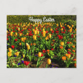 Happy Easter Red en Yellow Tulips #1 Briefkaart (Voorkant)