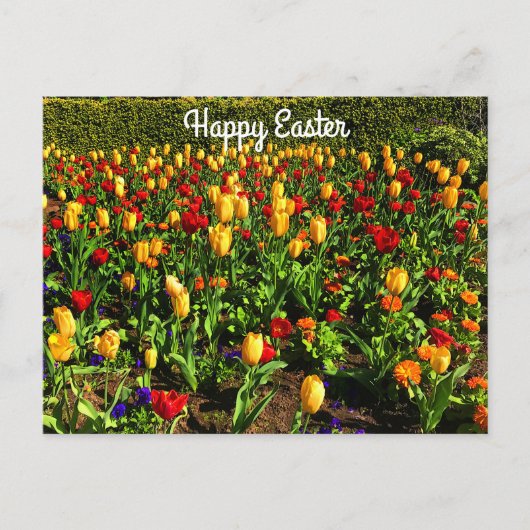 Happy Easter Red en Yellow Tulips #1 Briefkaart (Voorkant)