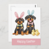 Happy Easter Rottweiler Dogs Bunny Ears Briefkaart (Voorkant / Achterkant)