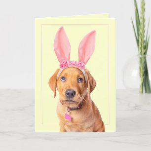 Happy Easter Schattig Labrador Puppy in Bunny Ears Feestdagen Kaart