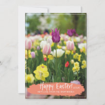 "Happy Easter" Tulip Flower Field Spring Foto