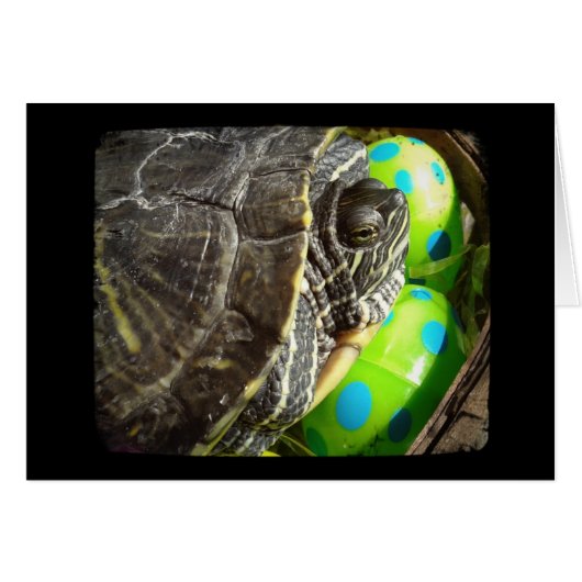 Happy Easter Turtle (Voorkant Horizontaal)