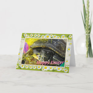 Happy Easter Turtle Feestdagen Kaart