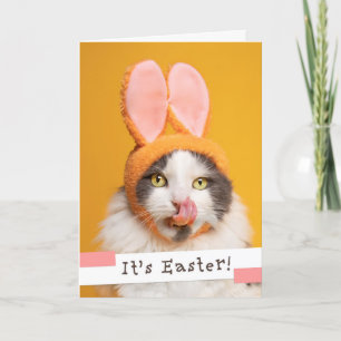 Happy Easter voor iedereen grappige kat in Bunny E Feestdagen Kaart
