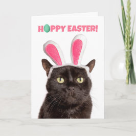 Happy Easter voor iedereen grappige kat in Bunny E Feestdagen Kaart