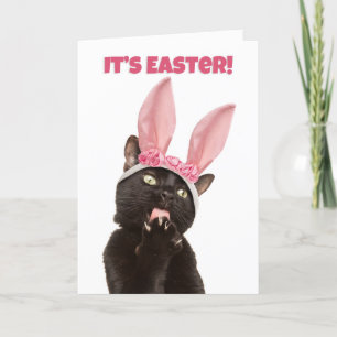 Happy Easter voor iedereen grappige kat in Bunny E Feestdagen Kaart