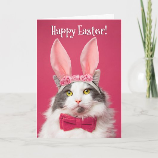 Happy Easter voor iedereen grappige kat in Bunny E Feestdagen Kaart (Voorkant)