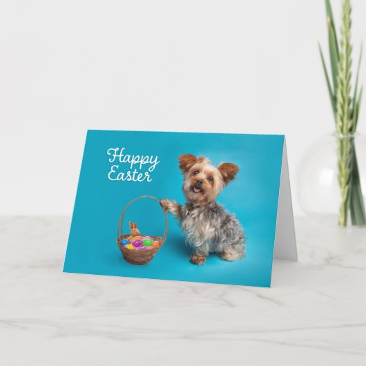 Happy Easter voor iedereen Schattige Yorkie Dog Feestdagen Kaart (Voorkant)
