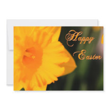 Happy Easter Yellow Spring Daffodil Flower