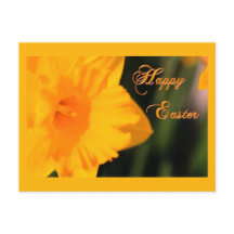 Happy Easter Yellow Spring Daffodil Flower