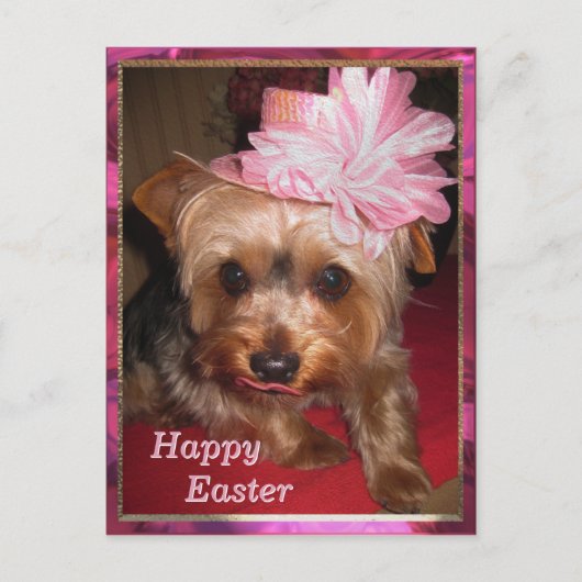 Happy Easter Yorkie Feestdagenkaart (Voorkant)