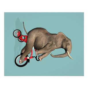 Happy Elephant op Tricycle Poster