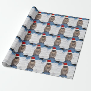 Happy en Cute Quokka op de kerst van het strand Cadeaupapier