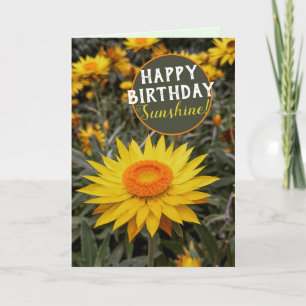 Happy Energy Paper Daisy Flower Happy Birthday Kaart