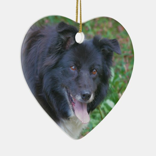 Happy Face Border Collie Dog Ornament (Rechts)