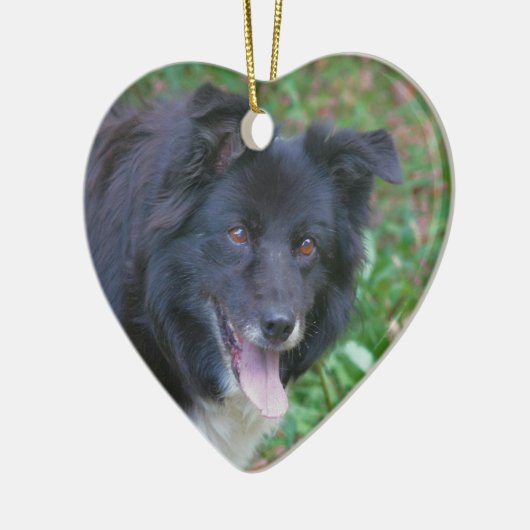 Happy Face Border Collie Dog Ornament (Links)