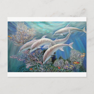 Happy_Family_-_Dolphins_Are_Awesome.JPG Briefkaart