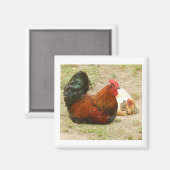 Happy Family - Haan & Kip 2" Magneet (Voorkant / Achterkant)