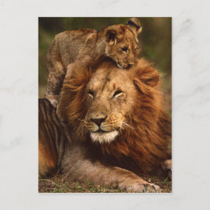 Happy Fathers Day Dad Lion and Lion Cub Briefkaart