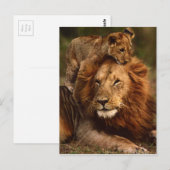 Happy Fathers Day Daddy Lion en Lion Cub Briefkaart (Voorkant / Achterkant)