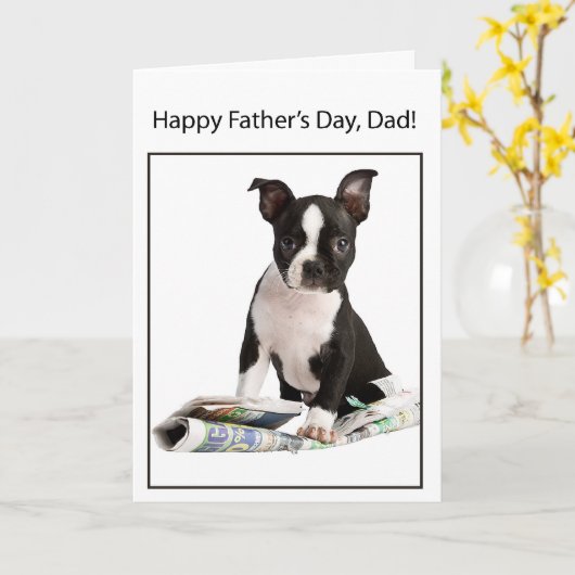 Happy Father's Day from Boston Terrier Dog, to Dad Kaart (Gele Bloem)