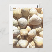 Happy Father's Day, Seashells, Photo Summer Beach Briefkaart (Voorkant / Achterkant)