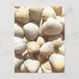Happy Father's Day, Seashells, Photo Summer Beach Briefkaart