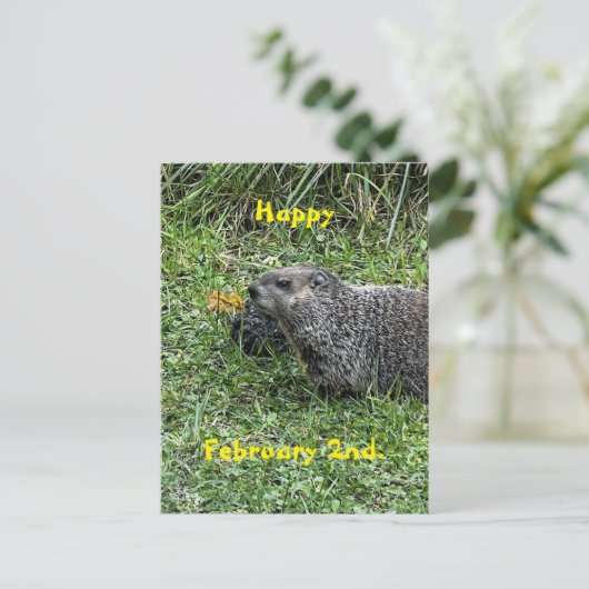 Happy February 2nd Custom Groundhog Postcards Briefkaart (Staand voorkant)