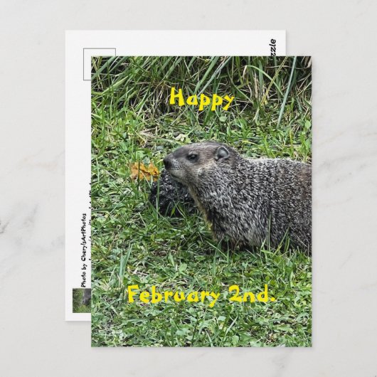 Happy February 2nd Custom Groundhog Postcards Briefkaart (Voorkant / Achterkant)