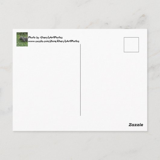 Happy February 2nd Custom Groundhog Postcards Briefkaart (Achterkant)