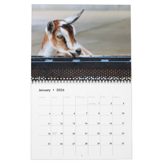 Happy Feelings-agenda Kalender (Jan 2026)