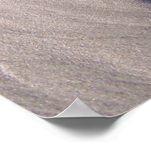 Happy Feet Poster (Hoek)