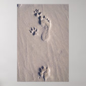 Happy Feet Poster (Voorkant)