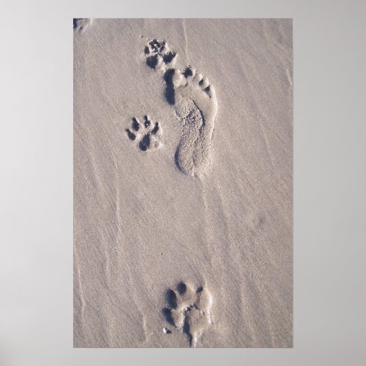 Happy Feet Poster (Voorkant)