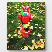 Happy Fire Hydrant Fotoplaat (Voorkant)