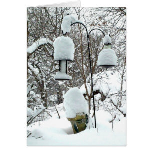 Happy First Day of Spring Wisconsin Humor Kaart