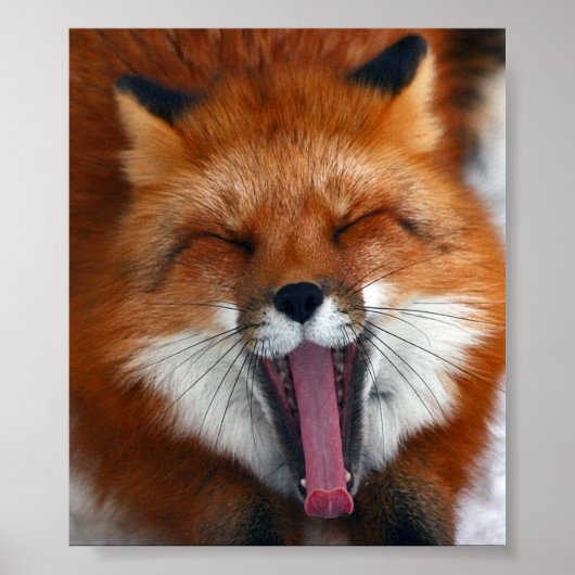 Happy Fox Wall Poster (Voorkant)